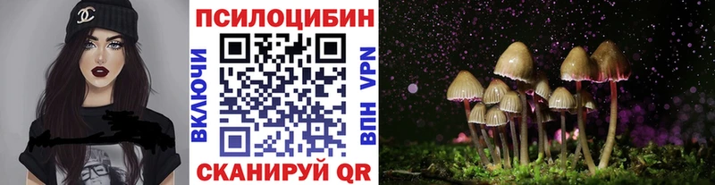 Галлюциногенные грибы Cubensis  Райчихинск 