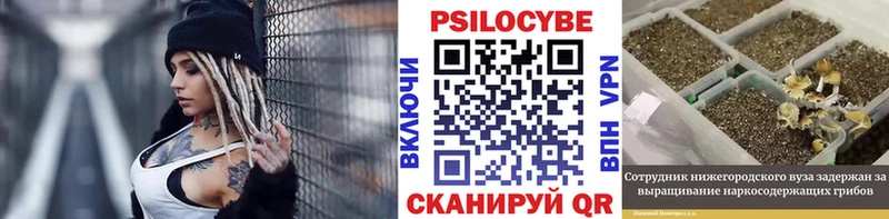 Галлюциногенные грибы Psilocybe Райчихинск