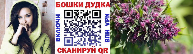 где продают наркотики  Райчихинск  МАРИХУАНА конопля 